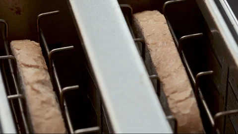 Toasting Two Slices of Bread Inserted in Kitchen Toaster Slots Stock Footage 288809174