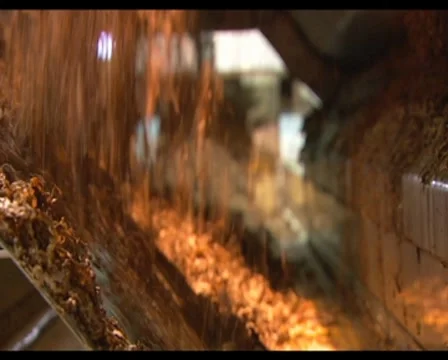 Tobacco 01 Stock-Footage 8521279