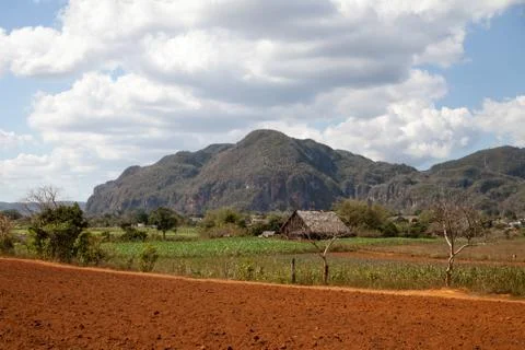 Tobacco Barn and fields of Vinales, Cuba Stock Photos