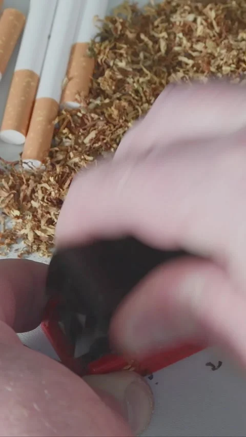 Tobacco into cigarette tubes using a hand tool. Cigarette Maker - vertical Video stock 310495739