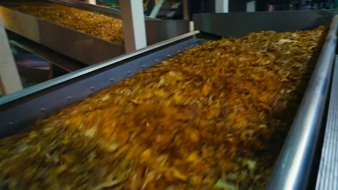Tobacco drying process, cigarette manufacturing Video stock 74284107