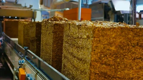 Tobacco drying process, cigarette manufacturing Video stock 74284589