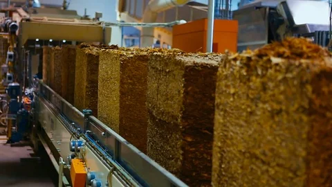 Tobacco drying process, cigarette manufacturing Stock Footage 74287334