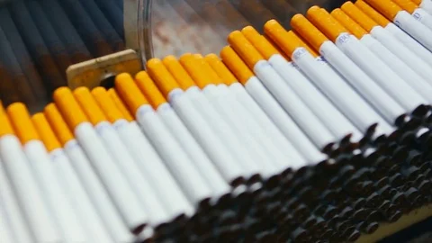 Tobacco drying process, cigarette manufacturing Stock Footage 74287509