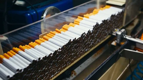 Tobacco drying process, cigarette manufacturing Stock Footage 74287531