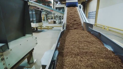 Tobacco drying process, cigarette manufacturing Vídeos de archivo 80839346