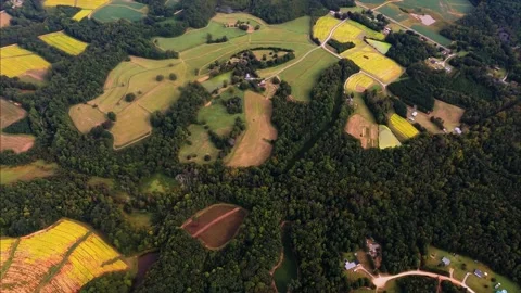 Tobacco Fields Ready to Pick Stock Footage 141005823