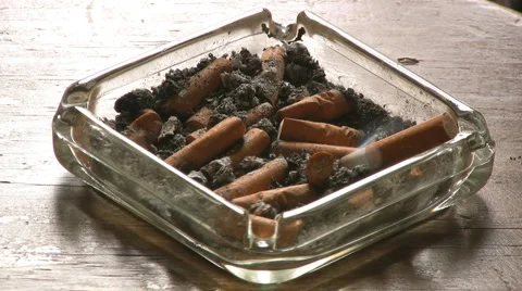 Tobacco Stock-Footage 1906047