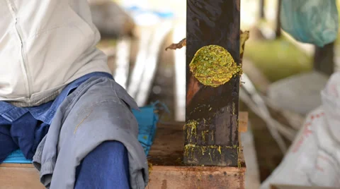 Tobacco Stock Footage 34531379