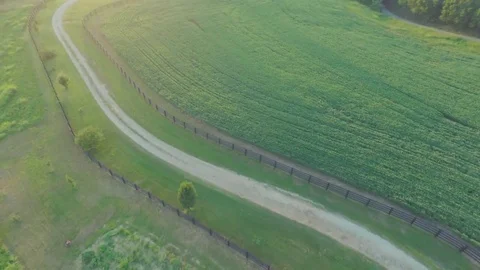 Tobacco Plants Floating Rows To Large House On Farm Aerial Stock Footage 79132366