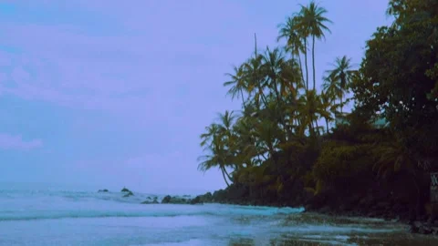 Tobago - Bacolet Beach Stock Footage 310303555