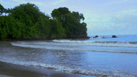 Tobago - Bacolet Beach Stock Footage 310303558