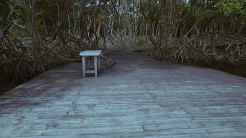 Tobago - Boardwalk Stock Footage 310303599