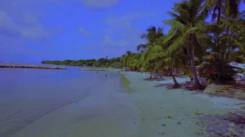 Tobago - Coconut Bay Stock Footage 310303662