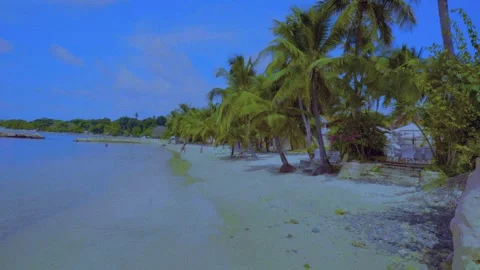 Tobago - Coconut Bay Stock Footage 310303665