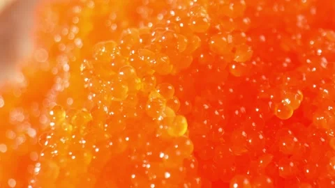 Tobiko in 4K video. Stock Footage 268370856