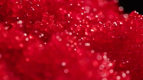 Tobiko, roe flying fish roe full frame macro close up, Sea of red caviar Stock Footage 309624063