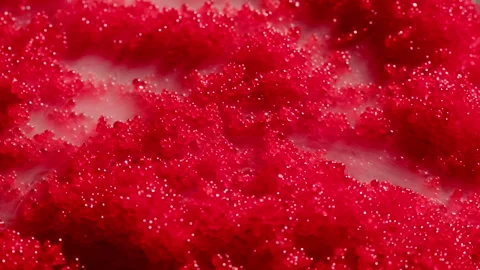 Tobiko, roe flying fish roe full frame macro close up, Sea of red caviar Stock Footage 309643425
