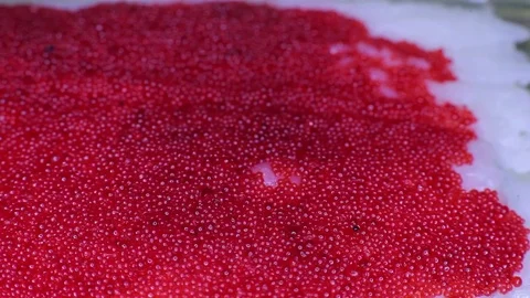 Tobiko roe with rice Stock Footage 82701095