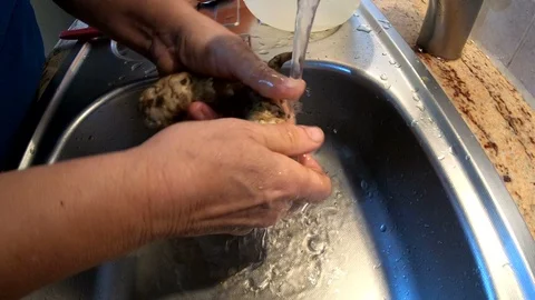Tobinambur washing in kitchen, handmade, authentic works, homemade, 4K Video stock 97952603
