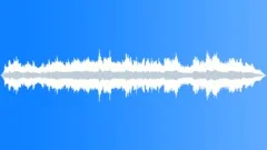 TOBOGGAN Sound Effect
