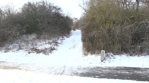 Tobogganing Stock Footage 997224
