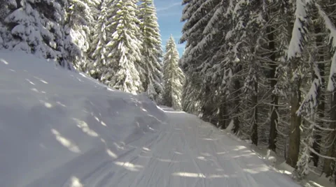 Tobogganing  snow covered track Stock Footage 34406367