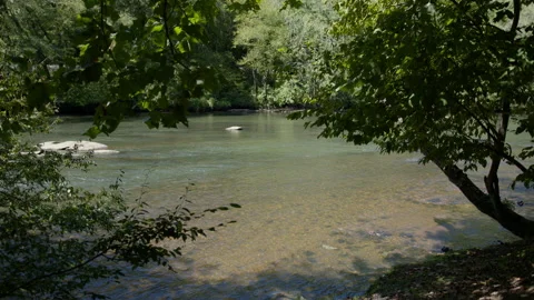 Toccoa River Video stock 210504941