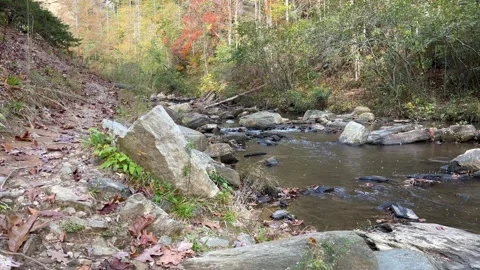 Toccoa river Stock Footage 257517260