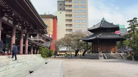 Tocho-ji Temple grounds feature traditional architecture. Stock Footage 334579889