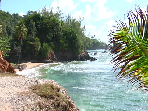 Toco Beach Video stock 25953856