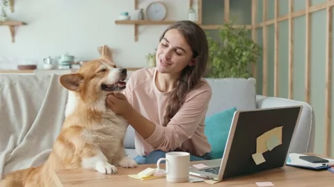 Today's generation Uses Remotely Work From Home. A Pretty Woman Working With A Stock Footage 139885537