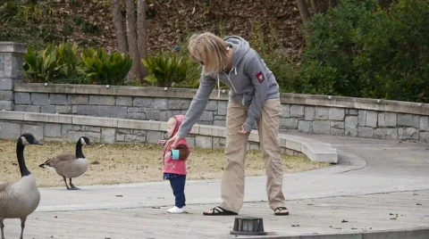 Toddler and mother walking Stock Footage