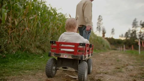 Toddler being pulled in wagon next to cornfield 库存影片 219405187