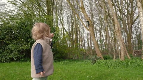 Toddler Birdhouse Trees Stock Footage 296146385