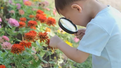  toddler boy child exploring environment by looking through a magnifying glass Stockbeeldmateriaal 103253687