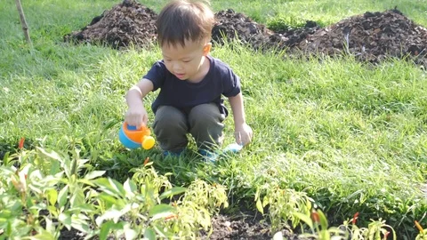 Toddler boy child having fun watering home grown vegetable  Stockbeeldmateriaal 99971228