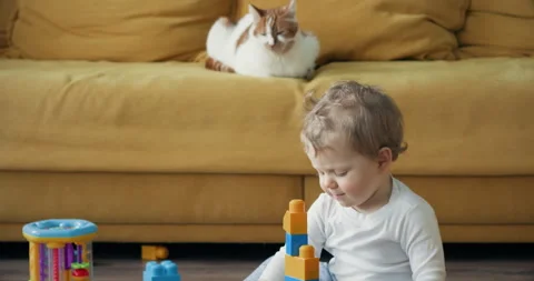 Toddler boy enjoys playing with constructor in spacious room Video stock 254522328
