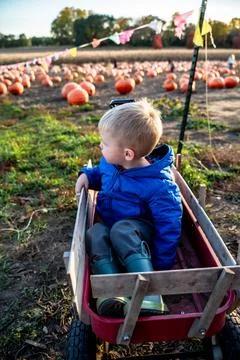 Toddler Boy Looking Away While Sitting in a Wagon at Pumpkin Patch 스톡 사진