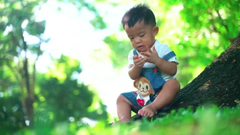 Toddler boy playing in nature tree park on green grass outdoor Stock Footage 139924478
