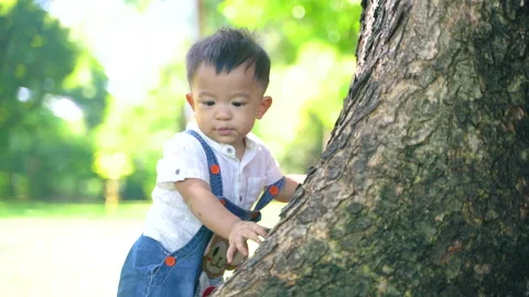 Toddler boy playing in nature tree park on green grass Stock Footage 139924787