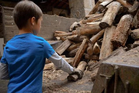 Toddler boy in work gloves stacks firewood against the background of a rura.. Stock Photos