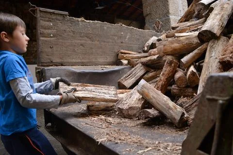 Toddler boy in work gloves stacks firewood against the background of a rura.. Foto stock
