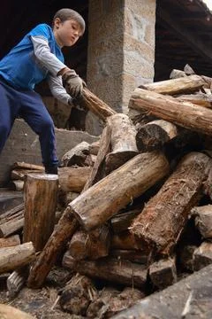 Toddler boy in work gloves stacks firewood against the background of a rura.. Foto stock
