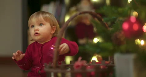 Toddler decorating christmas tree Stock Footage 143709895