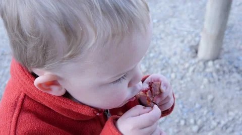 Toddler eating bacon while camping Stock Footage 51258899