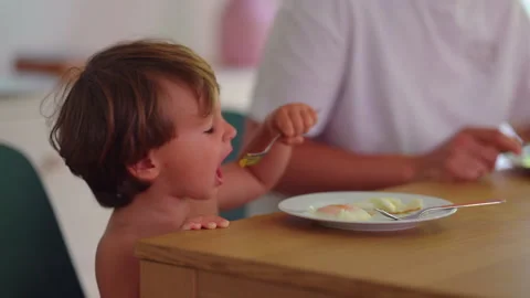 Toddler eating eggs at breakfast table, enjoying healthy morning meal and f.. Stock Footage 340429803