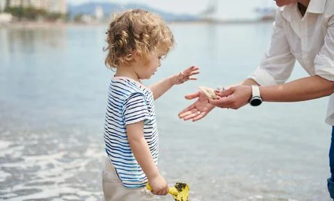 Toddler Exploring Seashells on Beach With Parent Handing Shell in Summer Foto stock