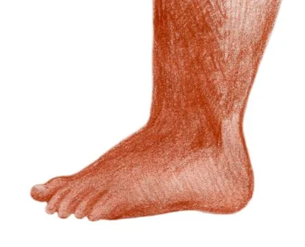 Toddler foot Stock Illustration
