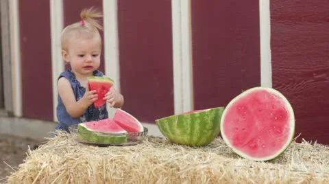Toddler grabs watermelon slice Video stock 12451093